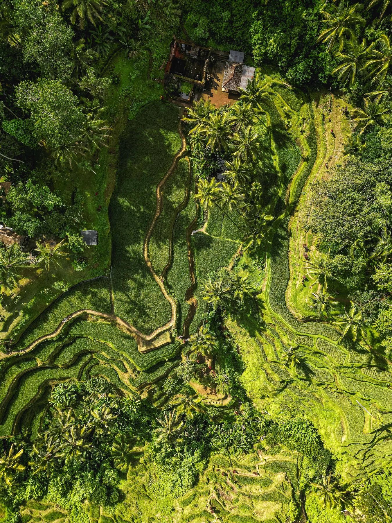 Bali - Jungle X Ocean, Bild 6 von 23