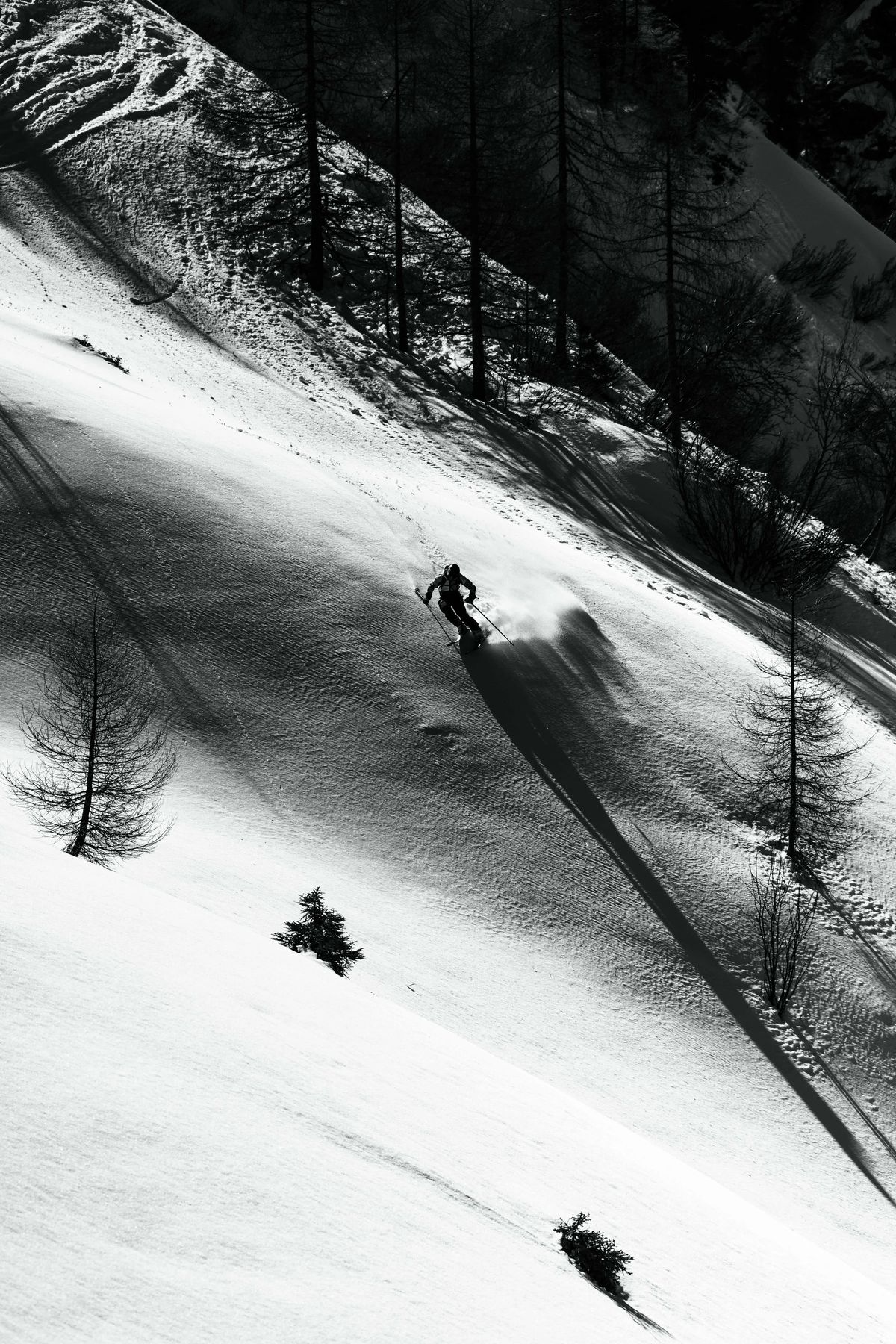 Nico - Snowacademy, Bild 7 von 14