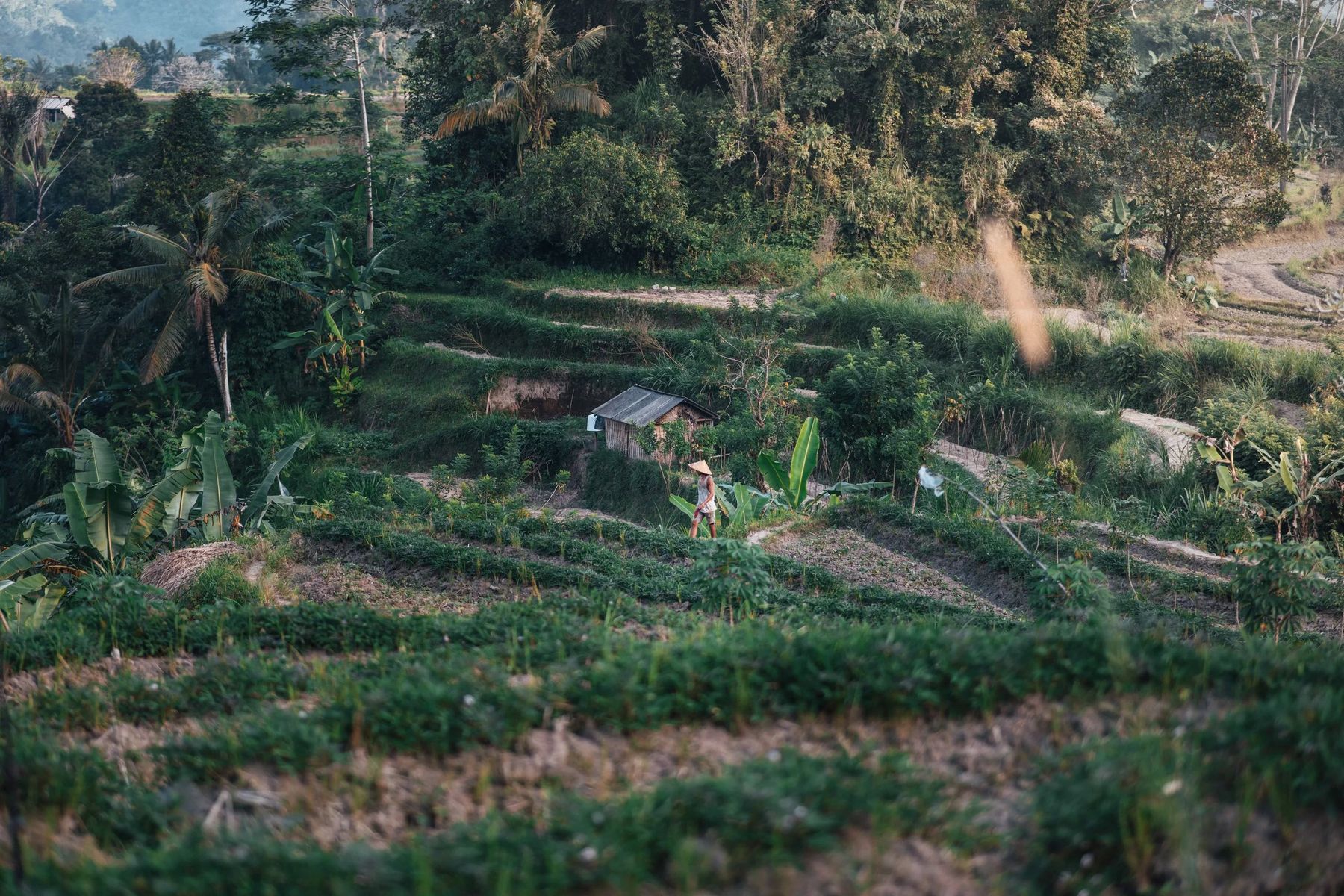 People of Bali, Fotoprojekt von Lucas Kampf