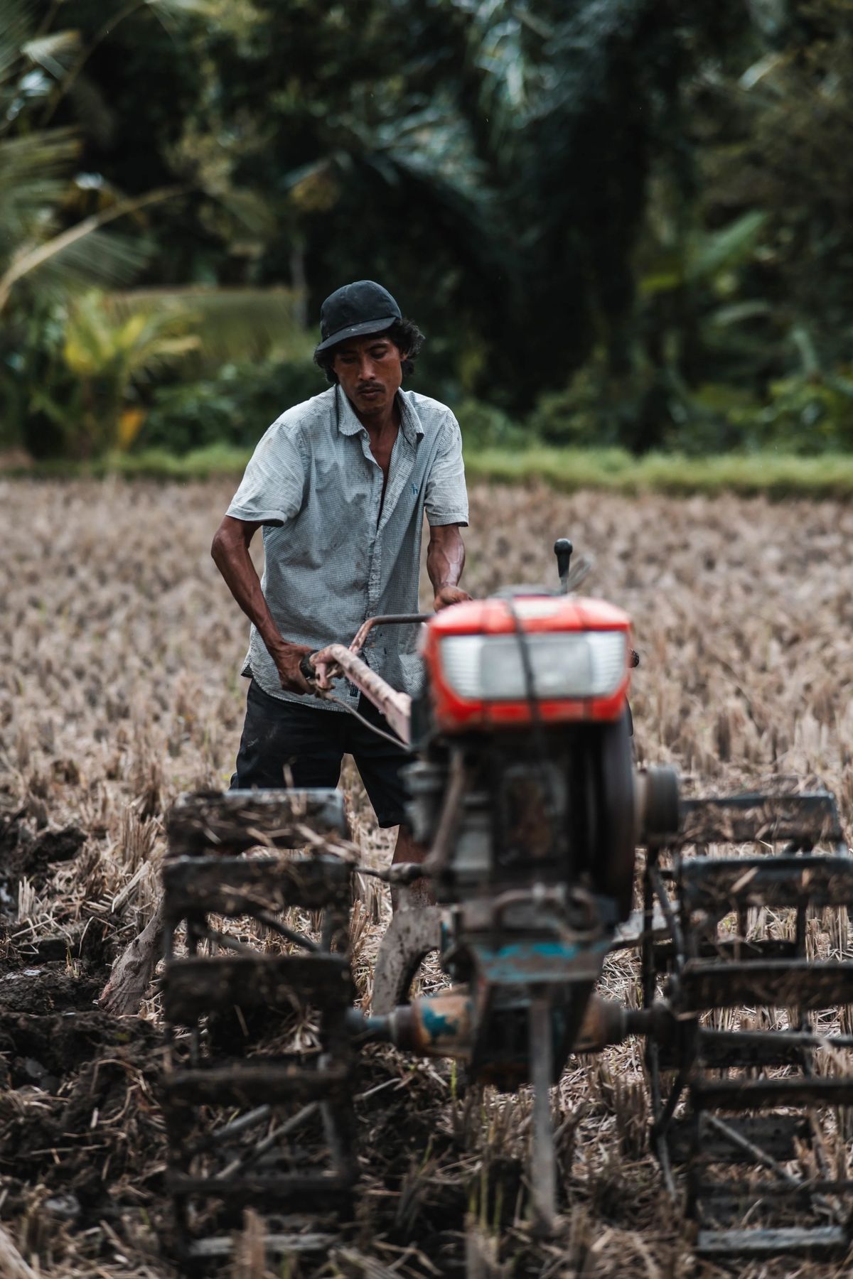 People of Bali, Bild 15 von 26