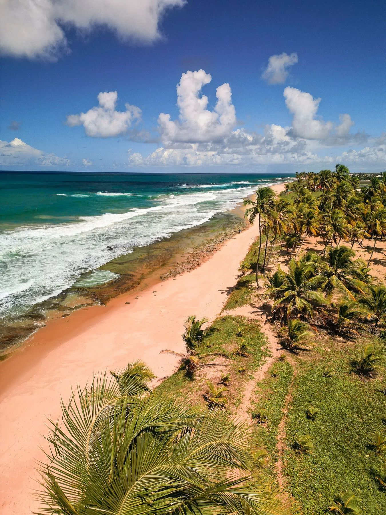 Salvador de Bahia, Bild 18 von 19