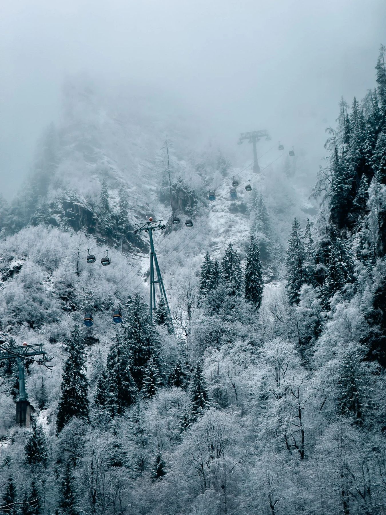 Winter 24/25 – iPhone Moments, Bild 7 von 10